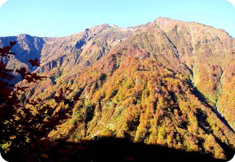 八海山の中腹