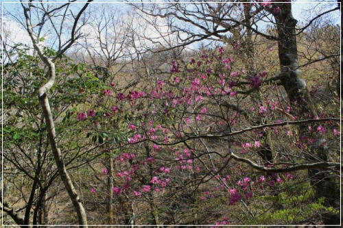 登山口近く