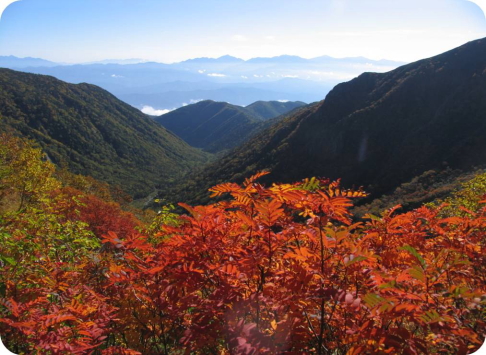 真ん中の尖った山が甲斐駒ケ岳