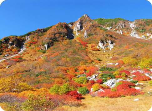 一段と紅葉が綺麗